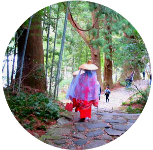 熊野古道イメージ